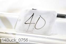 14buck_0756 proof
