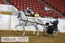 14buck_0757 proof