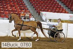 14buck_0760 proof