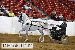 14buck_0762 proof