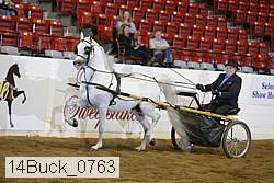 14buck_0763 proof