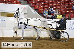 14buck_0764 proof