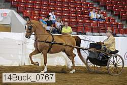 14buck_0767 proof