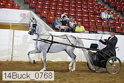 14buck_0768 proof