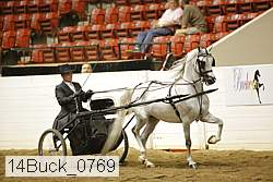 14buck_0769 proof