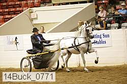 14buck_0771 proof