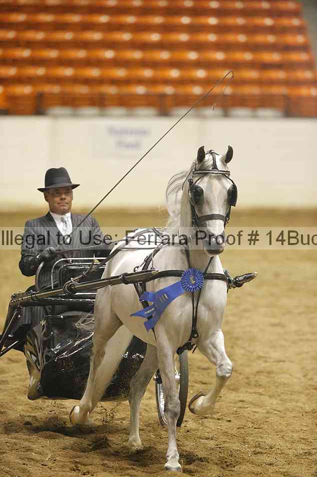 Proof 14buck_0774