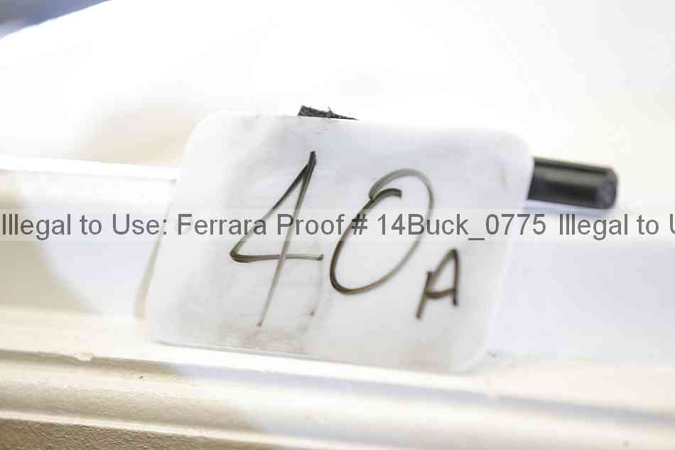 Proof 14buck_0775