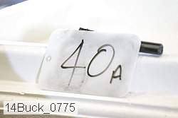 14buck_0775 proof