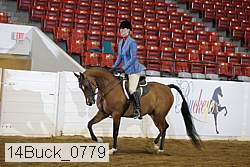 14buck_0779 proof