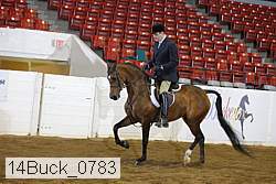 14buck_0783 proof
