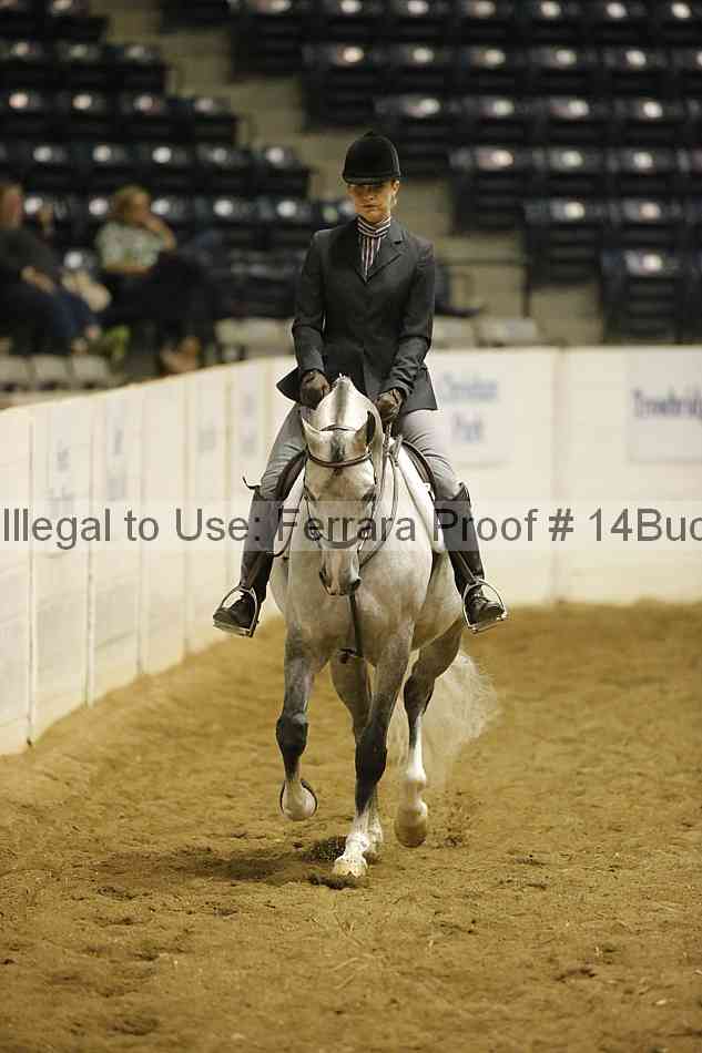 Proof 14buck_0784