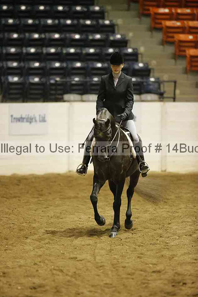 Proof 14buck_0786