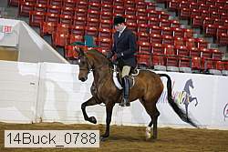 14buck_0788 proof