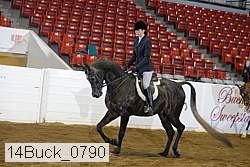 14buck_0790 proof