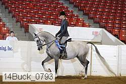 14buck_0793 proof