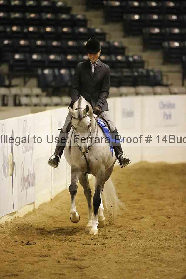 Proof 14buck_0795