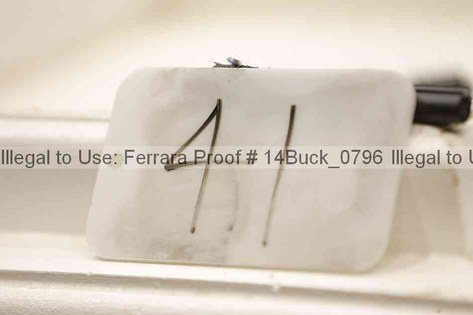 Proof 14buck_0796