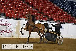 14buck_0798 proof
