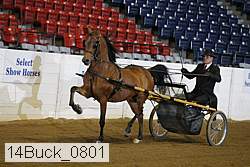 14buck_0801 proof
