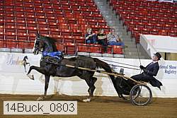 14buck_0803 proof