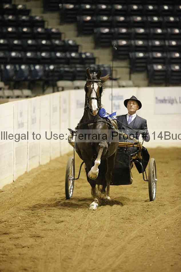 Proof 14buck_0804