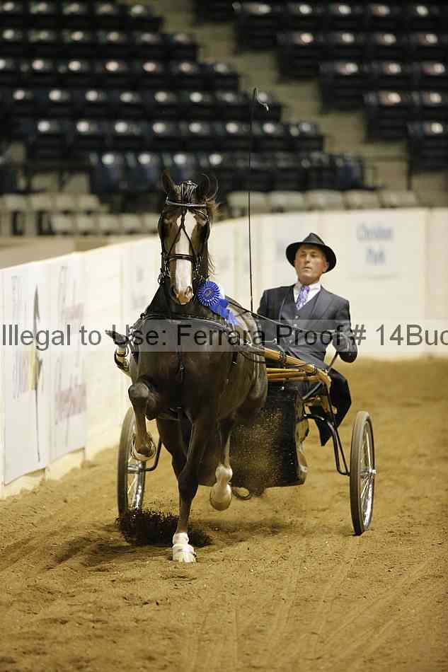 Proof 14buck_0805