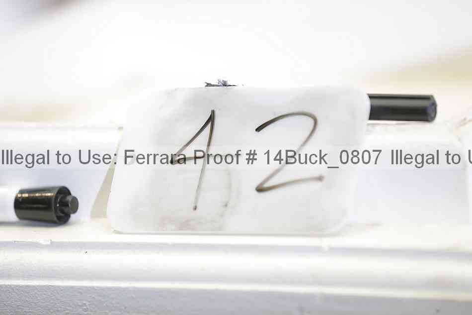 Proof 14buck_0807