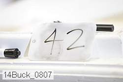 14buck_0807 proof
