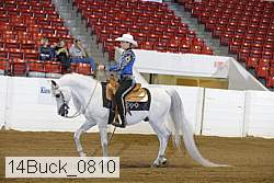 14buck_0810 proof