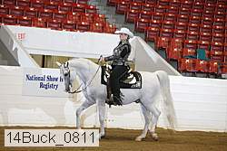 14buck_0811 proof