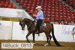 14buck_0813 proof