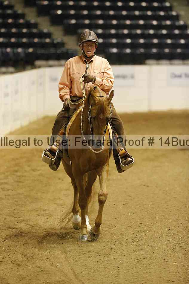Proof 14buck_0816