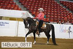14buck_0817 proof