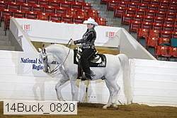 14buck_0820 proof