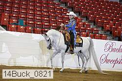 14buck_0821 proof