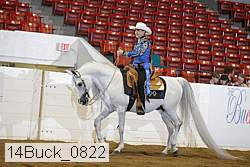 14buck_0822 proof