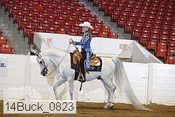 14buck_0823 proof