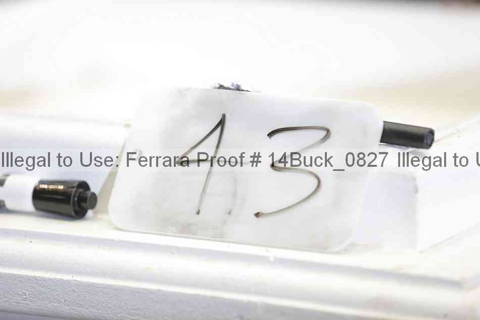 Proof 14buck_0827