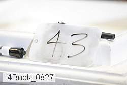 14buck_0827 proof