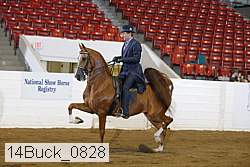 14buck_0828 proof