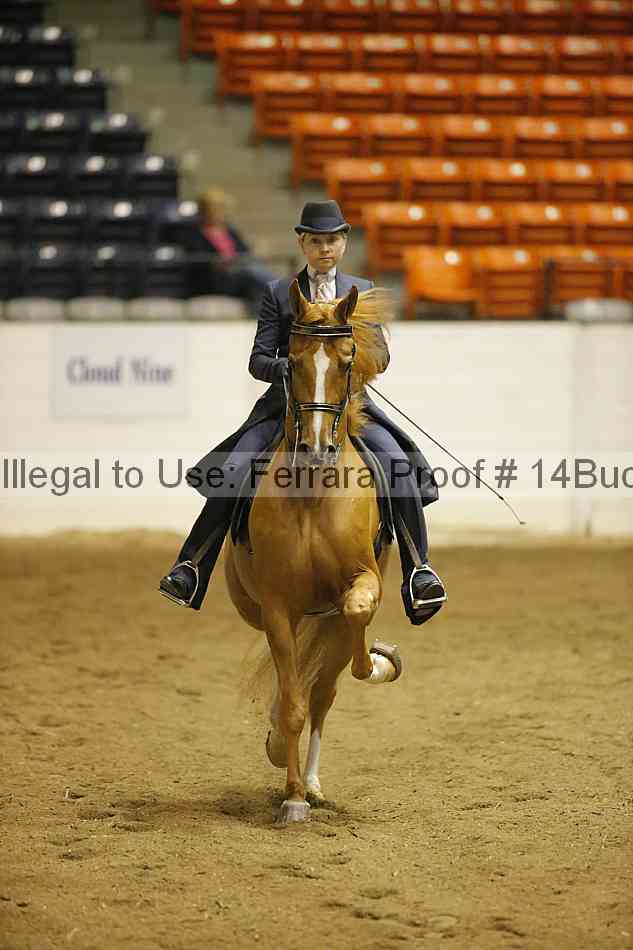 Proof 14buck_0832
