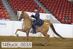 14buck_0833 proof