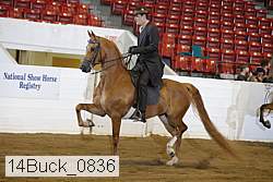 14buck_0836 proof