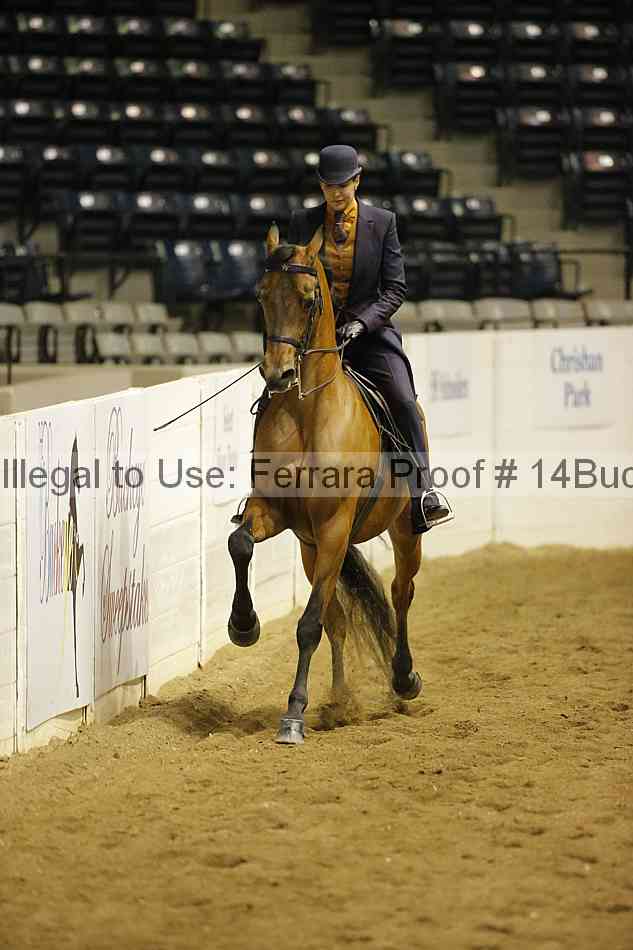 Proof 14buck_0837