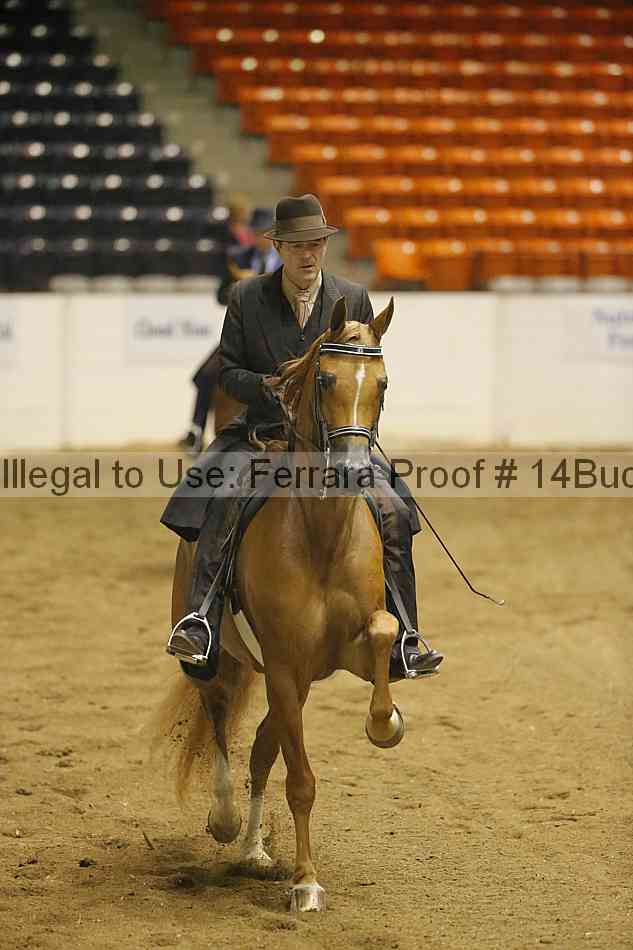 Proof 14buck_0838