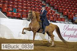 14buck_0839 proof