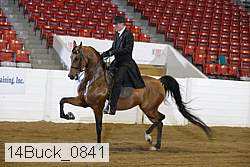 14buck_0841 proof