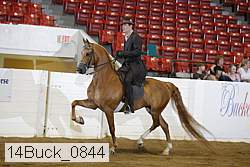14buck_0844 proof