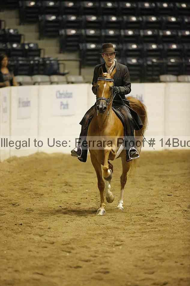 Proof 14buck_0845